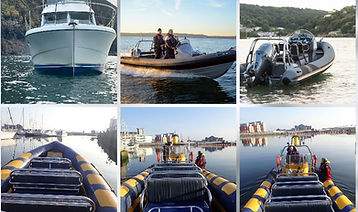 bristolchannelswimming.jpg