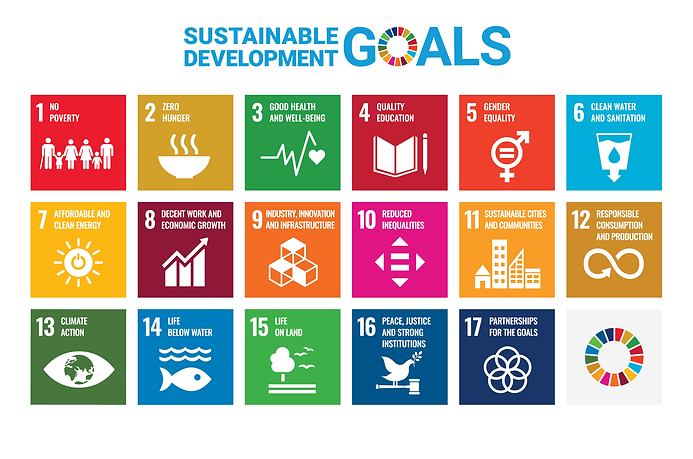 E-SDG-Poster-2019_without-UN-emblem_WEB.png