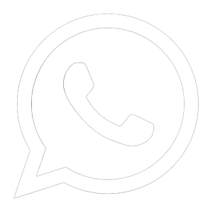 logo zap.png
