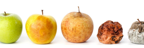 Día Internacional de Concientización sobre la Pérdida y el Desperdicio de Alimentos
