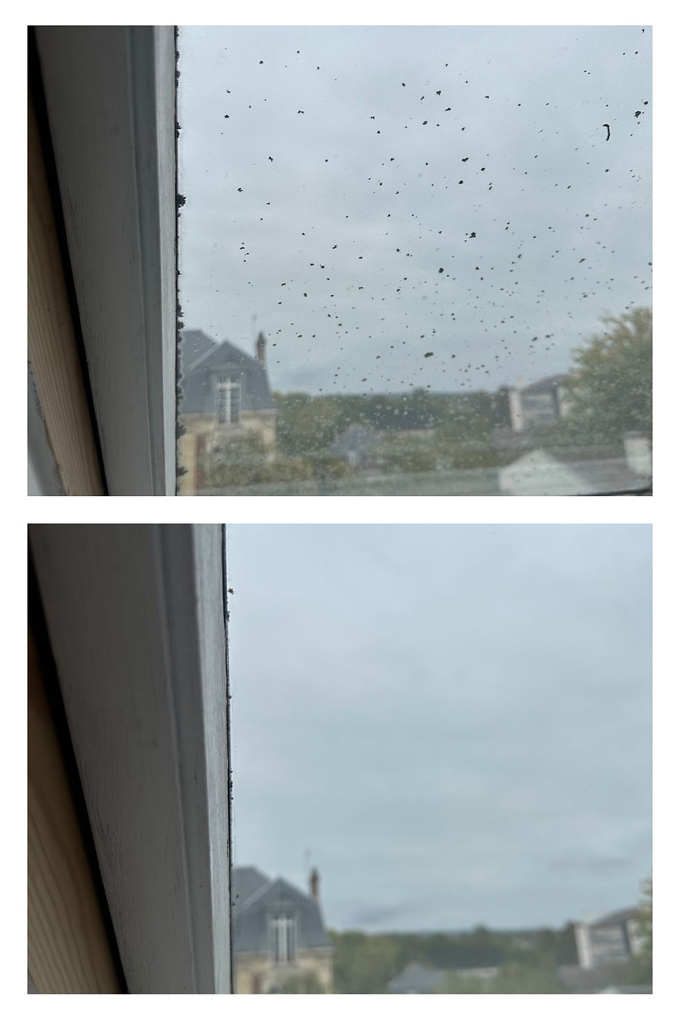 Copie de Sans titre (1).png