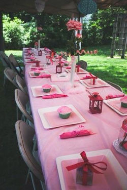 Blue & Pink Birthday Party