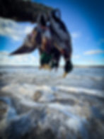 CFD829F4-4EDB-4ABF-9FF5-CB281C69EEFD