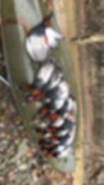 9B7CA954-505D-4809-BECC-33B27C32834C