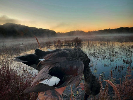 Join Our Hunting Experience Trading Community