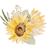 Lone sunflower.png