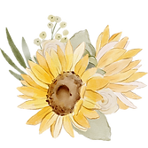 Lone sunflower.png