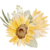Lone sunflower.png