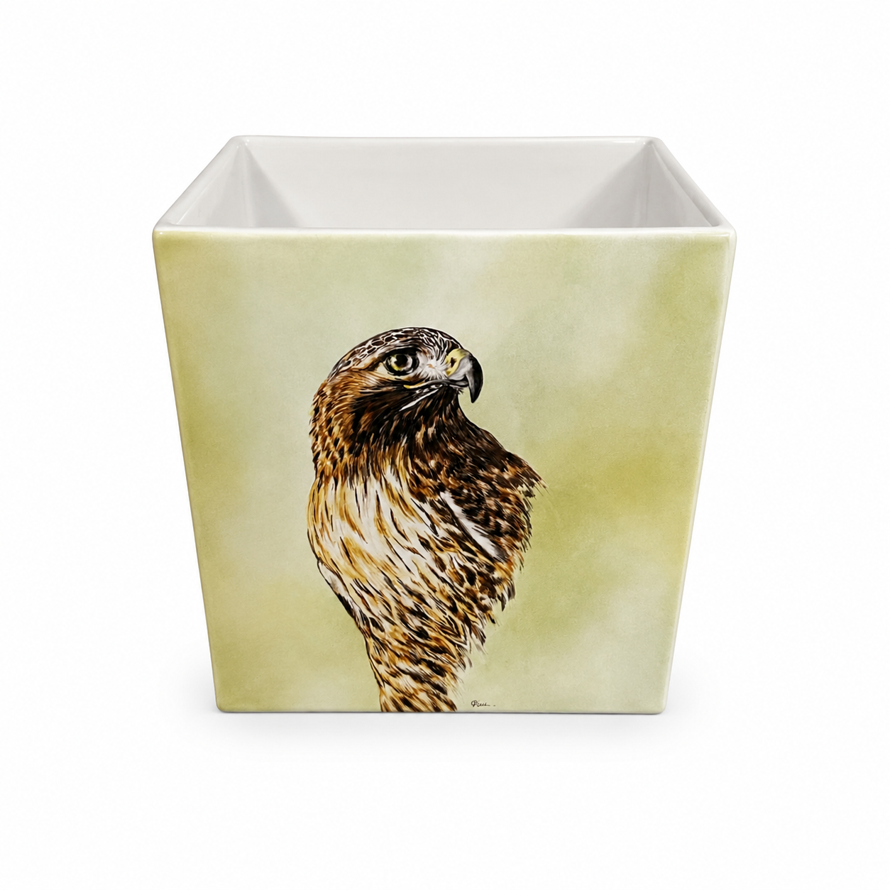 Cache-pot - les rapaces