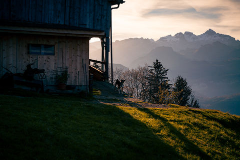 barking dog, swiss alp hat, chalet, omid taslimi photography