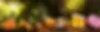 Fondo_Desechables_1a.webp