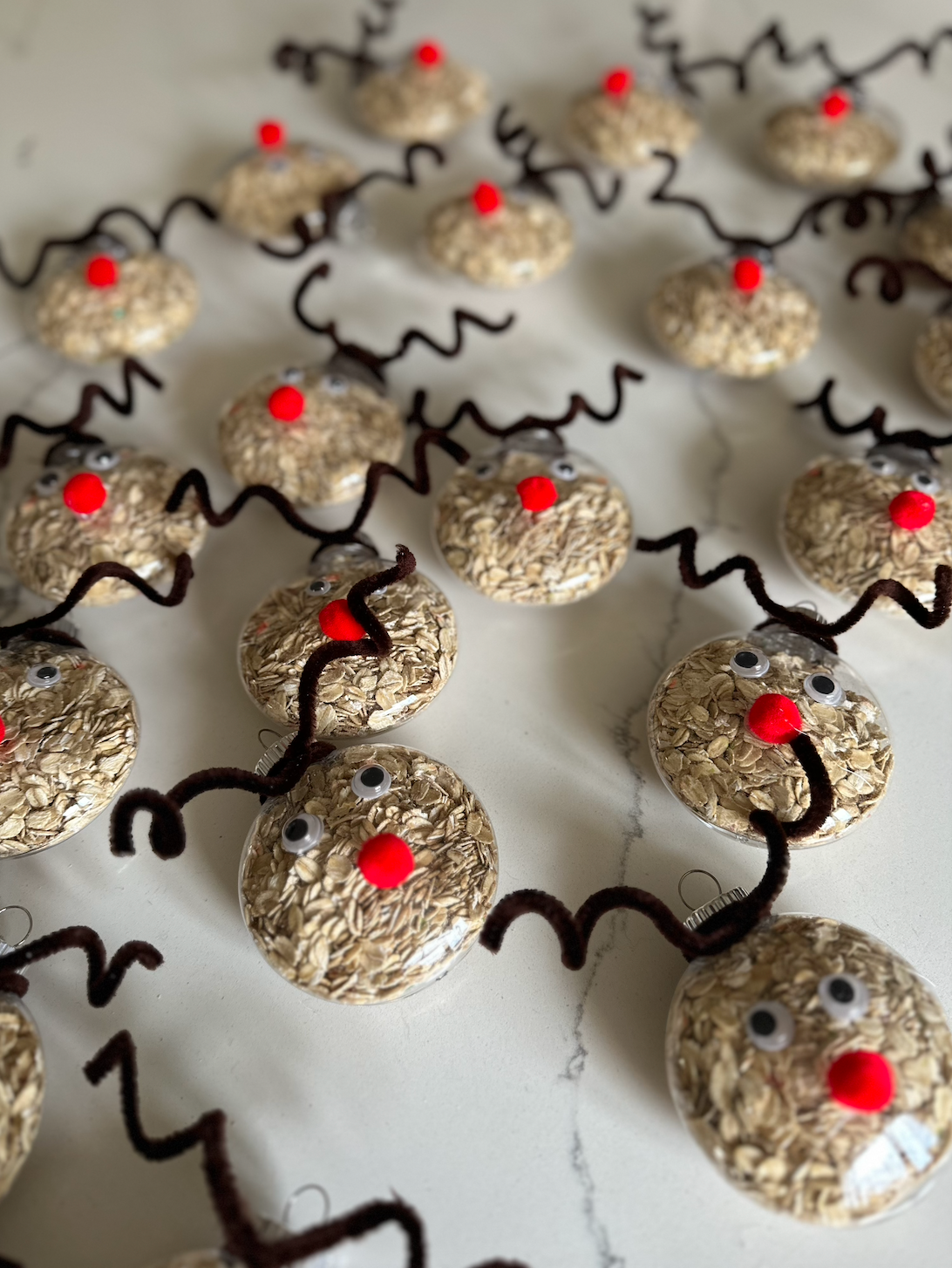 Reindeer Food Ornament