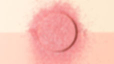 Pink Blush