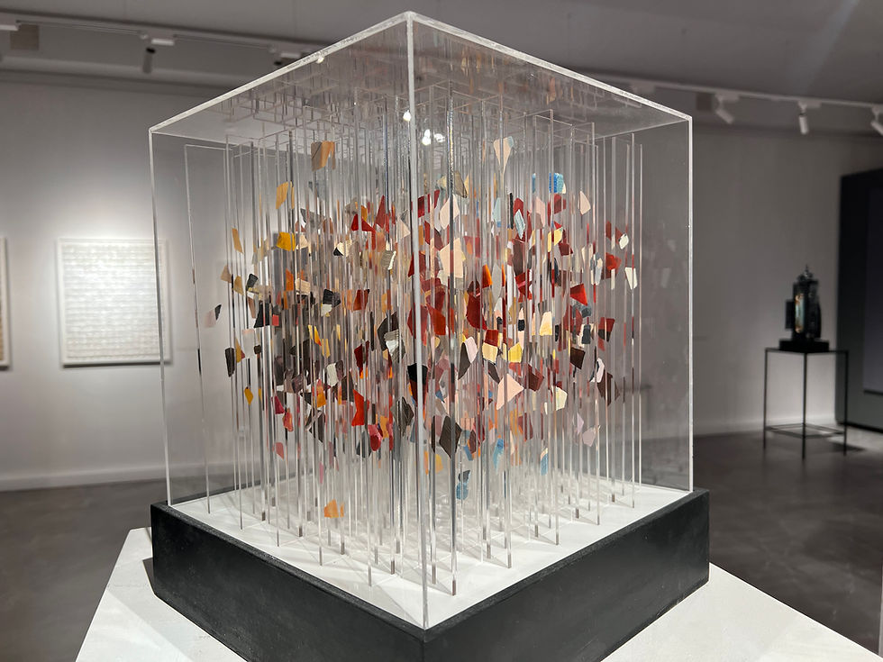 Exhibition at Modern Art Museum