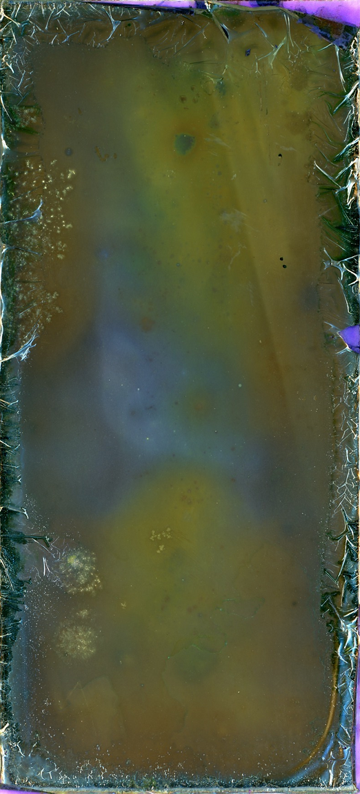 Hanako Murakami 村上華子 Hanako Murakami 村上華子