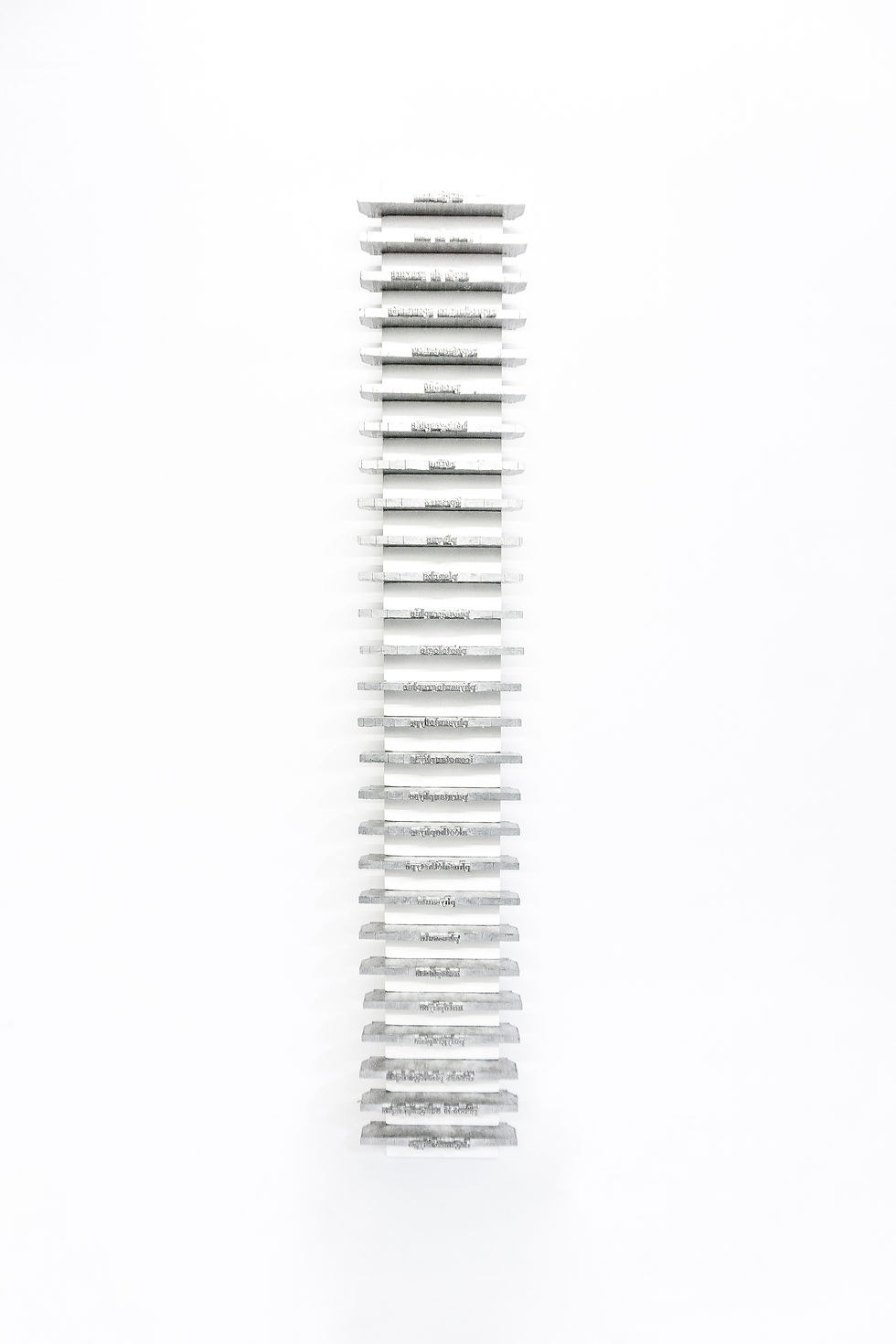 HanakoMurakami_Nomenclature_2019_001