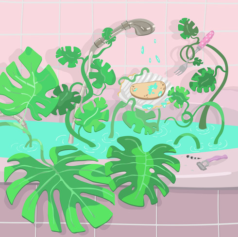 Illustrated questions
