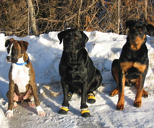 PHOTO-2025-11-14-13-45-21.jpg