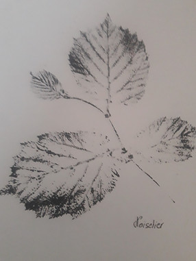 20250416_163514.jpg