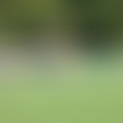 Simsek schießt Waldhilsbach ab