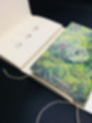 37066223_1720448751338335_82042340304643