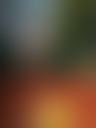 Athlete Marketing in 2026: What’s Changing and How to Get Ahead