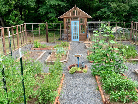 Planning the vegetable garden