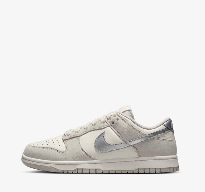 Nike Dunk Low Silver Swoosh