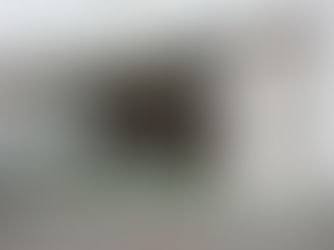 内装工事が始まっています