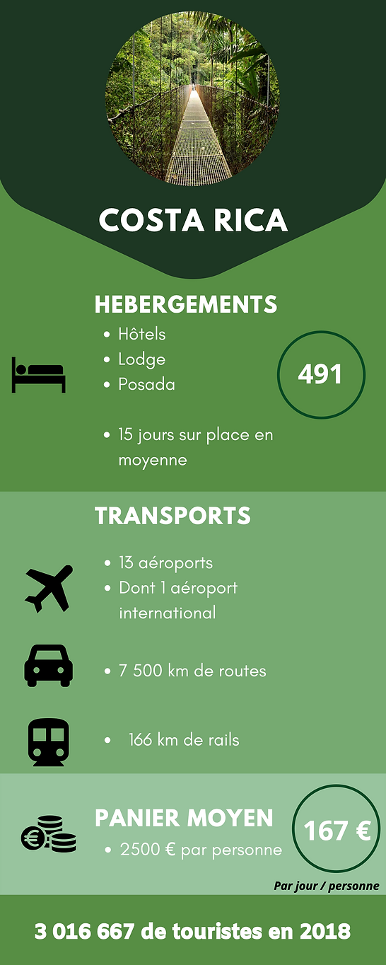 Charity Infographic (2) (1)-1 (glissées)