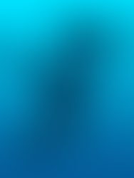 Naviguer, ancrer et protéger avec Donia