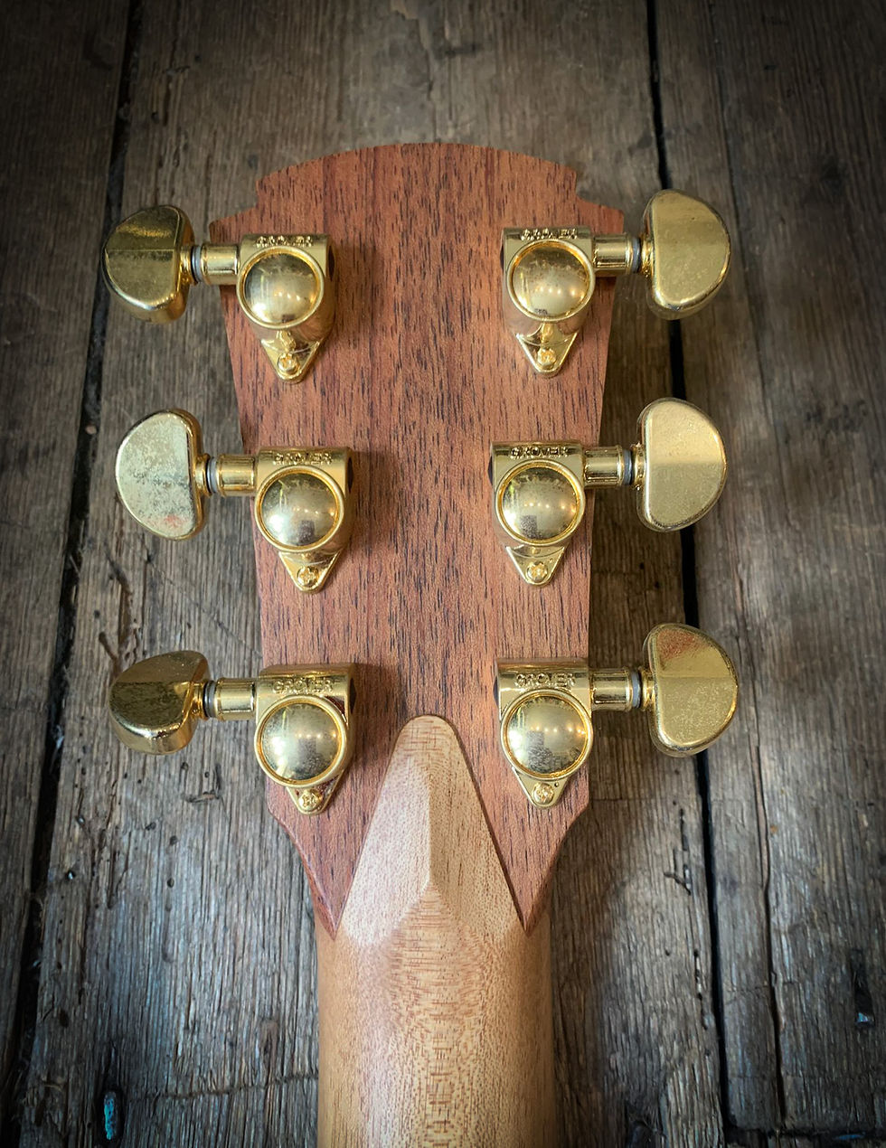 Thumbnail: 2021 Cole Clarke AN2EC-RDBL acoustic & hard shell case