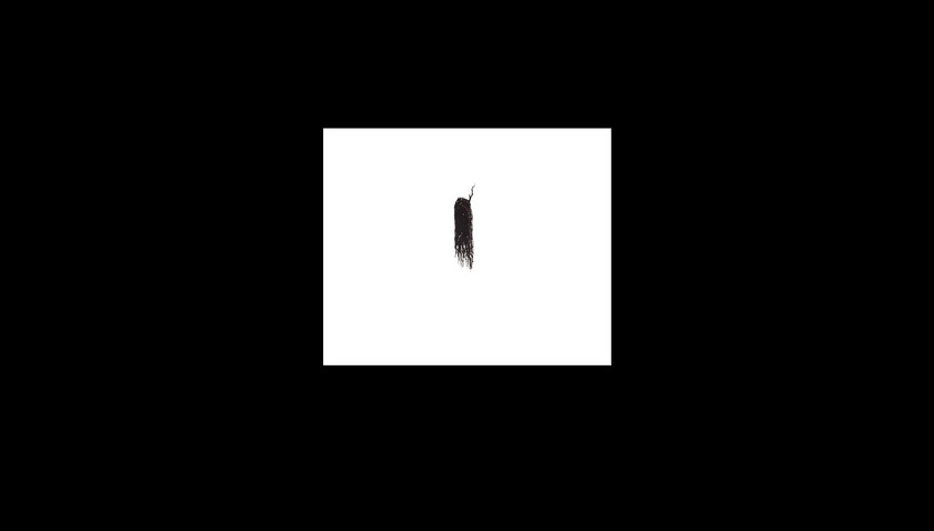 20220817.jpeg