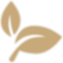 feuille-logo-blanc