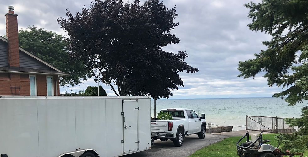 IMG_2125 3_edited.jpg