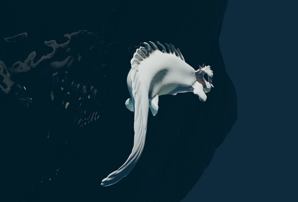 9C44B0D8-9AEE-45ED-A9FA-A805F5D47BDF.jpeg