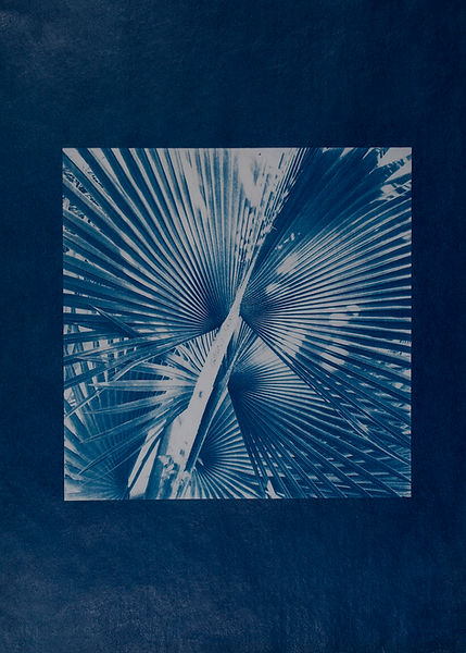 LindsayBEAL Work photo Commonplace Abstr