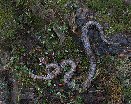 Tanya Marcuse Woven.jpg