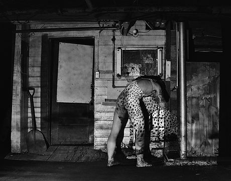 David Guerra Untitled_Wild photograph.jp