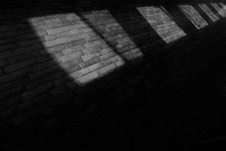 David Guerra II Body of Light.JPG