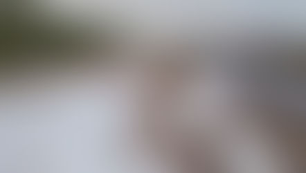 Tras granizada en Bocas, Gobierno de la Capital rescata a productores agrícolas