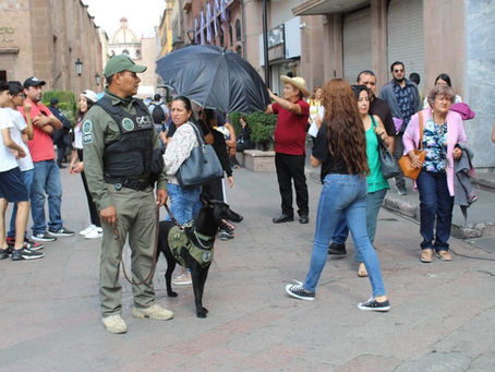 Listo operativo para la Procesión del Silencio en SLP