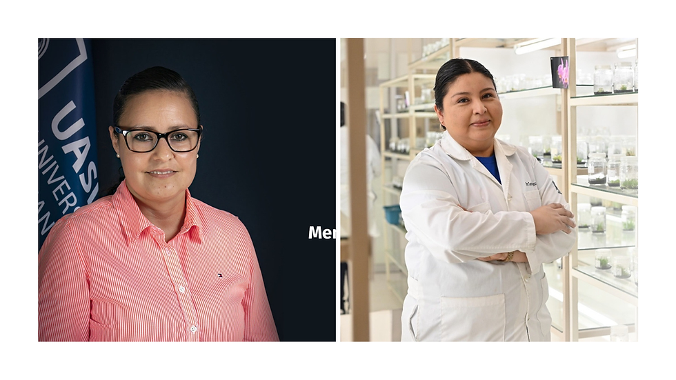 Investigadoras de la UASLP ingresan a la Academia Mexicana de Ciencias 