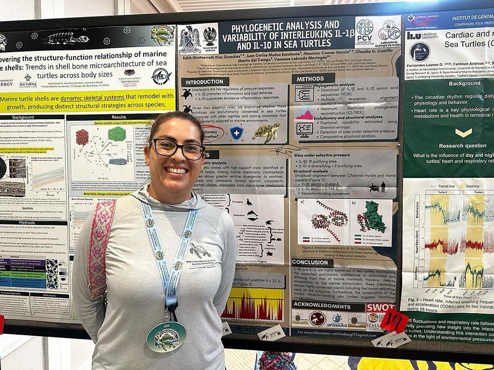Ciencia de la UASLP llega a Hawái con investigación sobre tortugas marinas
