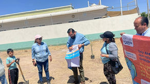 Inician jornada de reforestación en colonia Jacarandas