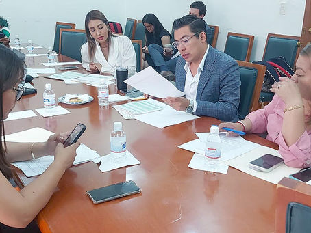 Avanza reforma para reconocer la interseccionalidad en la Ley de Igualdad de San Luis Potosí