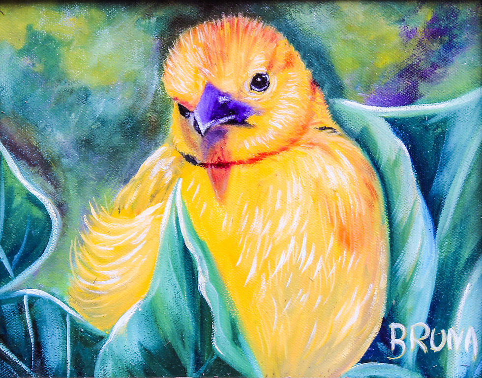 Paintings by Bruna, Bruna Christian, Yellow Bird, Oil Painting,Wildlife