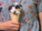Thumbnail: Franklin: Broken Black Buck