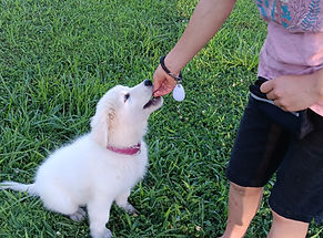 20250709_193104.jpg