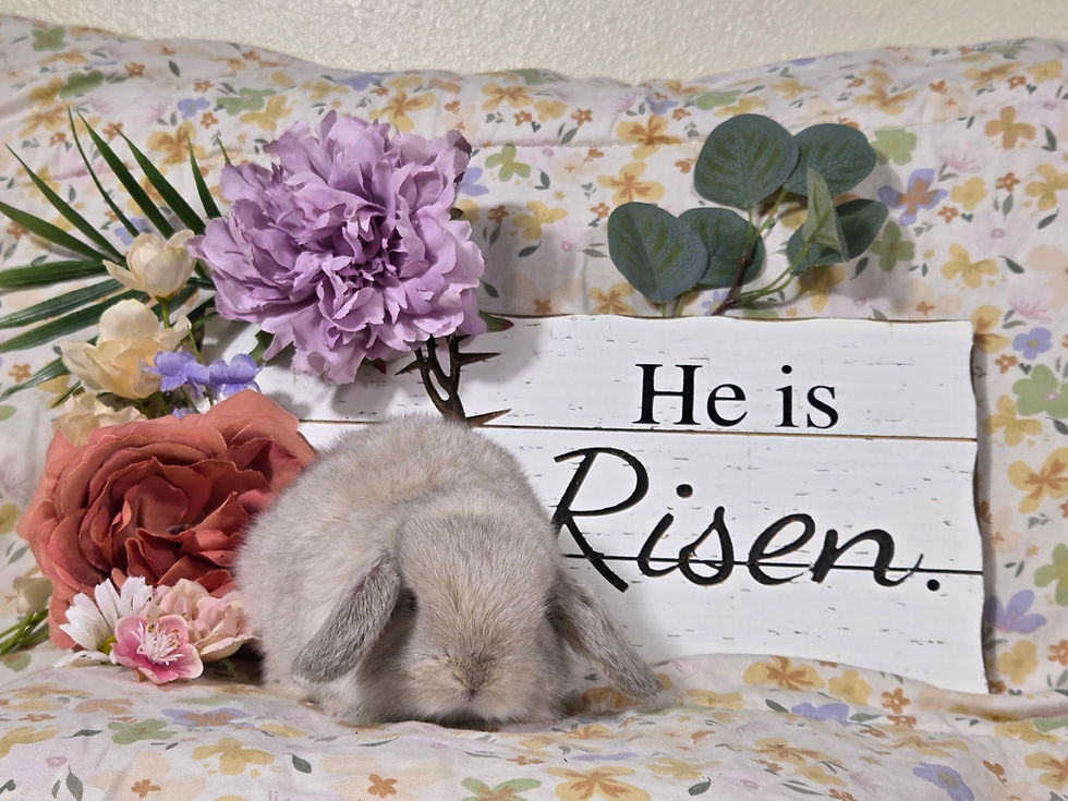 Thumbnail: Frosted Sable Pearl